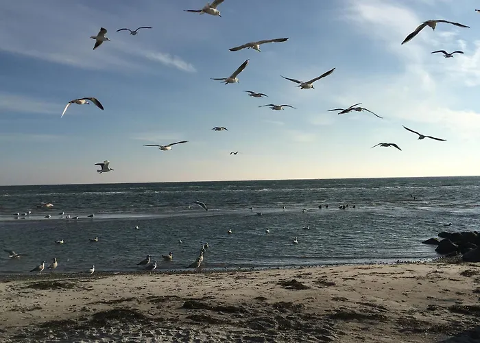 Tannenburg 208 - App Strandoase Апартаменты *